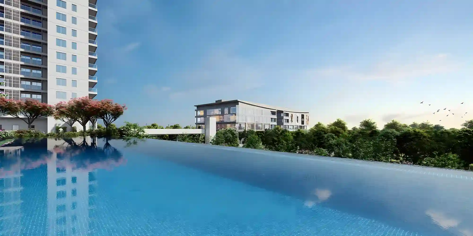 The Arbour Apartments